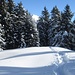Ritorno all’Alpe d’Arbino ripercorrendo la trincea aperta nella neve immacolata. Qui c’era circa un metro di neve fresca, ad ogni passo si sprofondava fino al ginocchio ed il passo successivo era appesantito dalla neve che inevitabilmente finiva sulla parte superiore delle racchette: grande fatica…