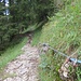 Abstieg weiter links Richtung Alpe Herzberg