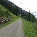 hinter der Alpe Herzberg links halten und die Wiesen hoch