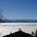 Die Alpen über dem Nebelmeer