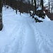 <b>Seguo una bellissima traccia di racchette da neve, che sale nella faggeta, sul versante orografico destro della Vallaccia. Questa volta il percorso è libero da rametti e da faggiole. </b>