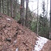 Wegverzweigung im Wald, etwas oberhalb des Höhlensteinhauses: geradeaus geht es Richtung Köglalm, links aufwärts zum Köglhörndl.