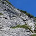 ein gut angelegter Steig führt nach oben