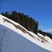 Schneerutsche bei Scäri. Ansonsten waren wir bei unserem Ausflug in da Prättigau allenfalls auf der Zufahrt von Furna nach Hinterberg von solchen Rutschen bedroht.