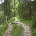 Der Schützensteig leitet nach oben. Vermutlich handelt es sich dabei um HIKRs bekanntesten [http://www.hikr.org/view_history.php?history_data_type=piz&history_data_id=80570 Wegpunkt].