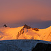 Morgensonne am Nadelgrat beim Aufstieg zum Gross Bigerhorn. Der Eiswall im Vordergrund gehört zum Riedgletscher.