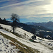 Vom Tagungshaus mit Ausblick in den W-Rätikon über die Wiese hoch.