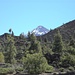 Teide