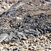 Lava