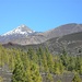 Teide und Pico Viejo