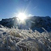 Die Sonne blinzelt hinter der Alpsteinkette hervor