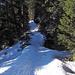 Gut ausgetretener Schneeschuhpfad von Sulwald zur Lobhornhütte