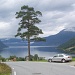 6.Tag: Oberhalb vom Fjord, am Ortseingang von Kinsarvik. Das erste Auto nach 6 Tagen Wildnis wirkt wie ein Schock.