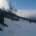 Alpe Quadra 1154 mt.