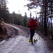 Die Schneeauflage auf dem Forstweg zum Rotwandhaus weist bereits Lücken auf