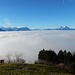 Nebelmeer - nun zusätzlich mit Buochserhorn