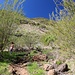 wunderschöner Anstieg zur Degollada de la Mesa