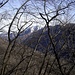 Monte Generoso peeks through the branches.