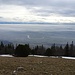 ... Gipfelwiese der Hasenmatt;
Blick über die Aareschlaufe und den Nebelbänken im Mittelland zu den Alpen