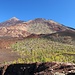 Gipfelblick von der Montaña Samara zum Teide