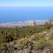 Blick auf die Nordküste Teneriffas während des Aufstiegs auf den Montaña de Guamasa.