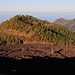 Gipfelaussicht von Volcán Chinyero (1552m) zum Montaña de la Cruz (1523m). Rechts hinten sind die Gipfel Gran Gala / Cruz de Gala (1343m) und Pico Verde (1312m).