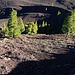 Der phantastische Tiefblick vom Gipfel des Volcán Garachico (1399m) in dessen Krater wo sich die Natur Meter um Meter zurück kämpft. 1706 brach der Vulkan zuletzt aus und die Lava floss 8km die Berghänge hinunter bis an die Nordküste wo sie das Meer erreichte.