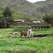 Klassisches Peru: Lamas in den Anden
