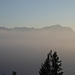 Zugspitze mit Jubiläumsgrat im Nebel