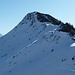 Miesenstock