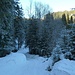 Zwischen Münchenboden und Ochsenalp