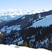 Rechts oben sieht man im baumfreien Hang einen planierten Skiweg, den ich hätte benutzen können.