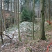Flurstück Bergloch, Halde und einstiger Umleitungsgraben