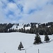 ... wo sich wenig später der Wildspitz "versöhnlich" zeigt