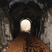 Unterer Schmalspurbahntunnel, Blick bergwärts