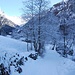 Winter wonderland