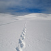 Man könnte dem Winterwanderweg folgen, wir bevorzugen es aber, einigen Spuren folgend neben dem Weg zu gehen.