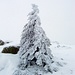 Winter am Belchen