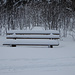 Auch im Schwarzwald liegt Schnee