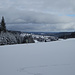 Blick Richtung Norden, Schönwald