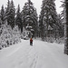 Ziemlich tiefer Schnee am Escheck und Meisterberg