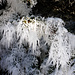 Eisnadeln...durch Nebel und mindestens 6- Grad