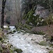in der Verenaschlucht ...