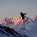 Der nächste Morgen - ein Dole tanzt ins Bild und verdeckt den höchsten Schweizer