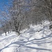 Inizio del sentiero,come si vede di neve fresca c'é uno strato consistente,si potrebbe salire pure con gli sci,poi la sera é andata via quasi tutta 
