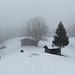 die Lichtung Hornbachegg - mit für diesen Winter typischen Wetterverhältnissen