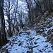 Sentiero per Campelli