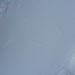 Spuren im Schnee (Flügelschlag und Schleifspur vom Bauch), vermutlich von einem Vogel / Huhn das durch ein anderes Tier (Spur links) unter dem Fichtenbäumchen gestört wurde.