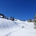 herrliches Winter-Ski|Schneeschuh-Wandern im stets offeneren Gelände
