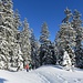 durch beträchtliche Mengen Tiefschnee ...